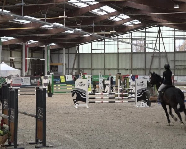 Reitturnier Oberriet 2023