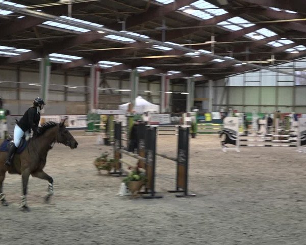 Reitturnier Oberriet 2023