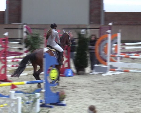 Reitturnier Heek-Nienborg 2023