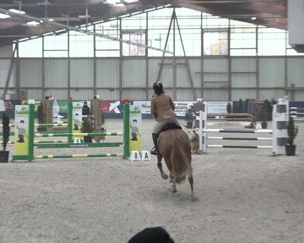 Reitturnier Oberriet 2023