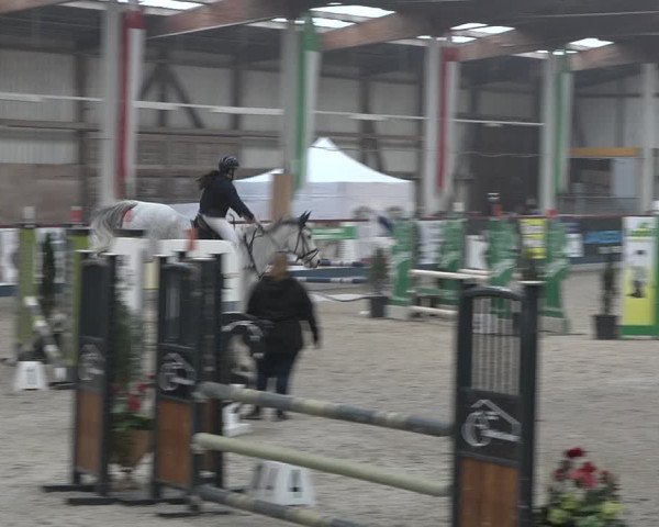 Reitturnier Oberriet 2023