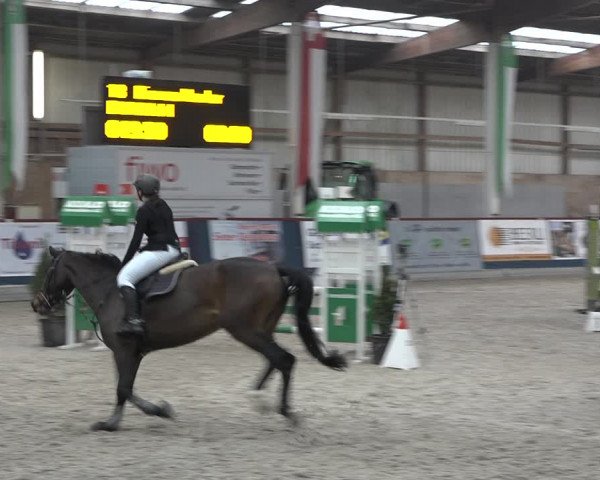 Reitturnier Oberriet 2023