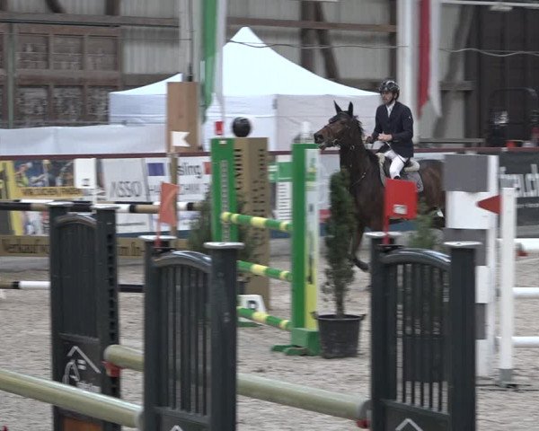 Reitturnier Oberriet 2023