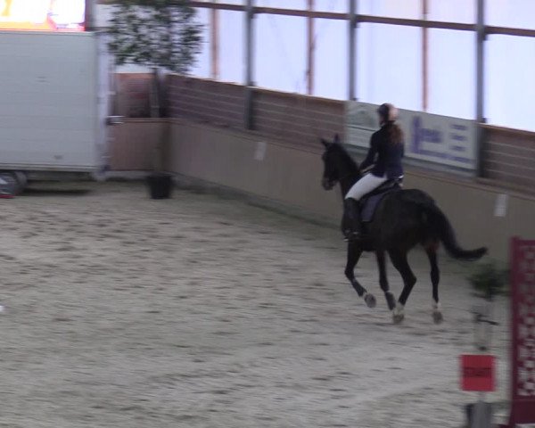 Reitturnier Heek-Nienborg 2023