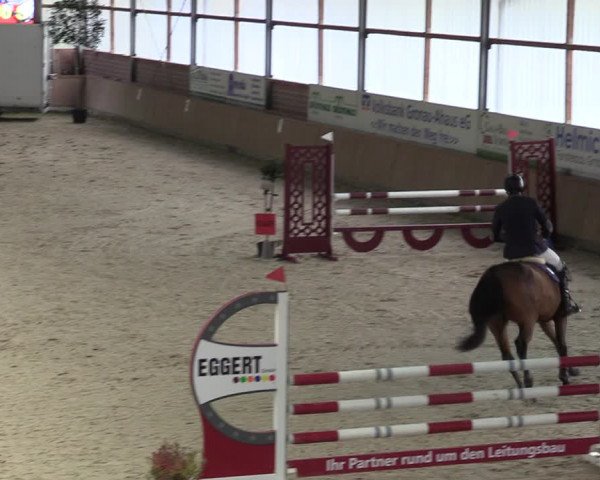 Reitturnier Heek-Nienborg 2023