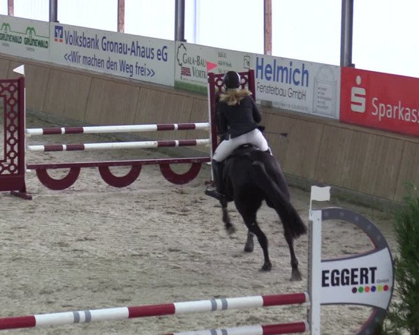 Reitturnier Heek-Nienborg 2023