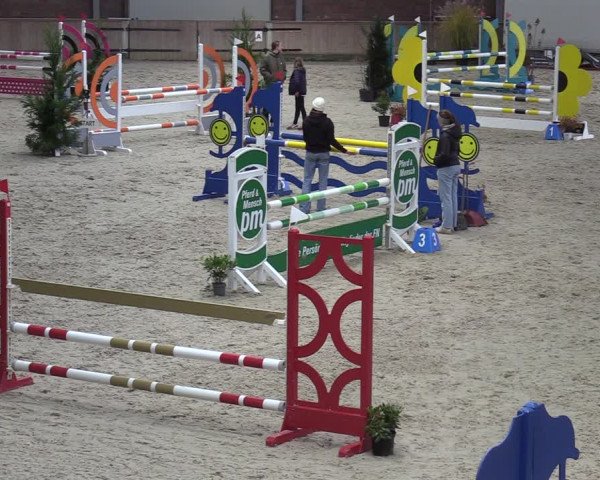Reitturnier Heek-Nienborg 2023