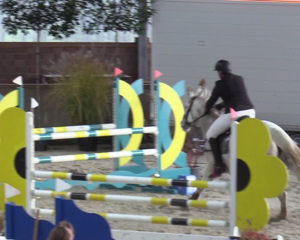 Reitturnier Heek-Nienborg 2023