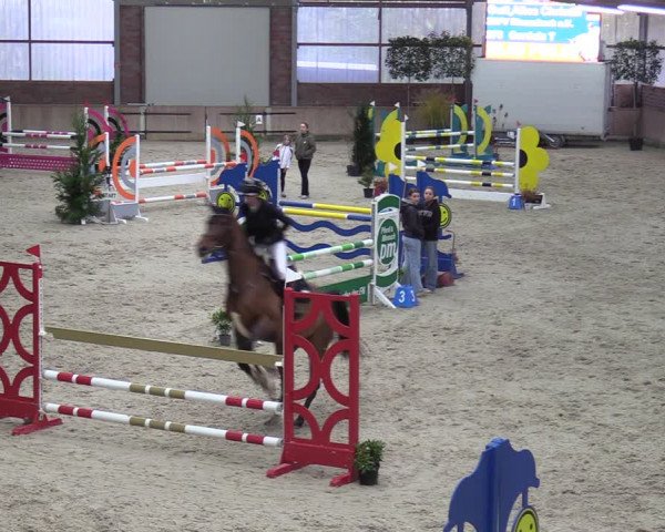 Reitturnier Heek-Nienborg 2023