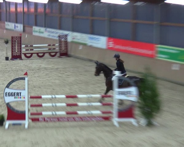 Reitturnier Heek-Nienborg 2023