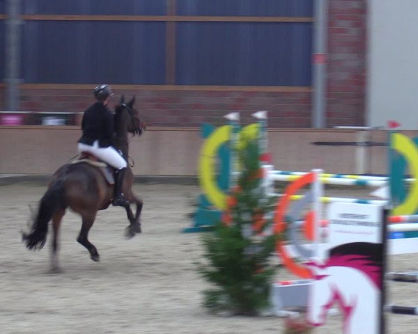 Reitturnier Heek-Nienborg 2023