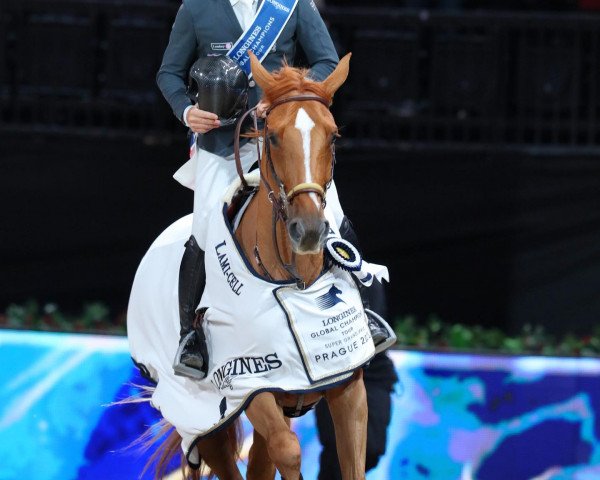broodmare Dubai du Cedre (Selle Français, 2013, from Baloubet du Rouet)