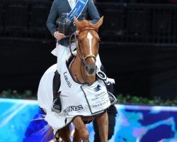 broodmare Dubai du Cedre (Selle Français, 2013, from Baloubet du Rouet)