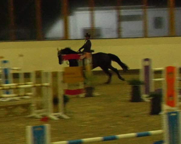 Reitturnier Fleesensee Classic´s 2023