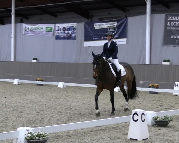 Reitturnier Münster-Handorf 2023