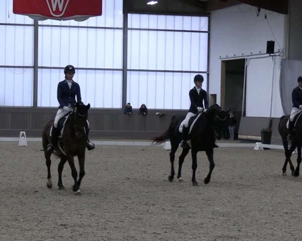 Reitturnier Münster-Handorf 2023