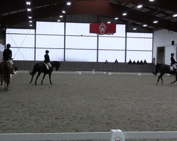 Reitturnier Münster-Handorf 2023