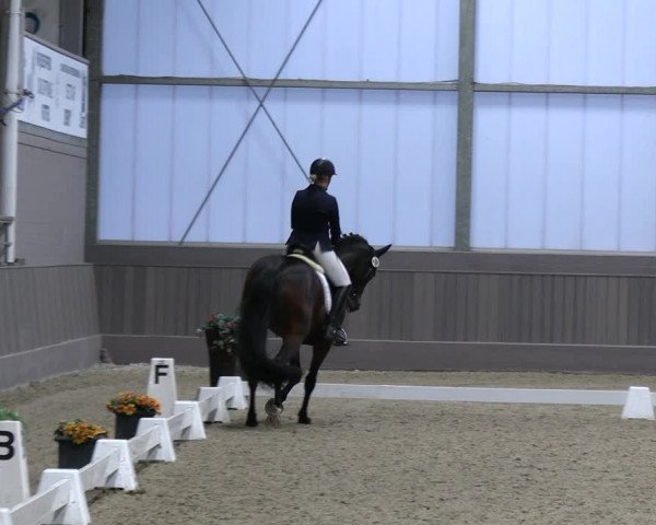 Reitturnier Münster-Handorf 2023