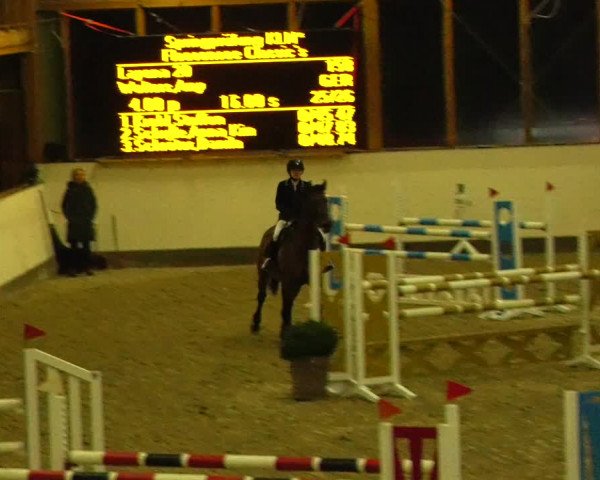 Reitturnier Fleesensee Classic´s 2023