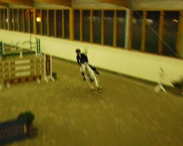 Reitturnier Fleesensee Classic´s 2023