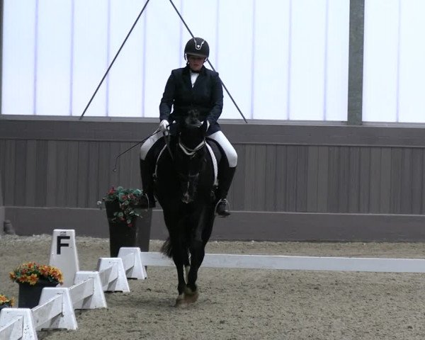 Reitturnier Münster-Handorf 2023
