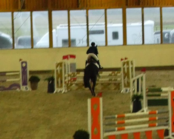 Reitturnier Fleesensee Classic´s 2023