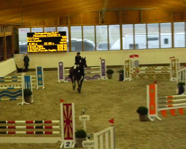 Reitturnier Fleesensee Classic´s 2023
