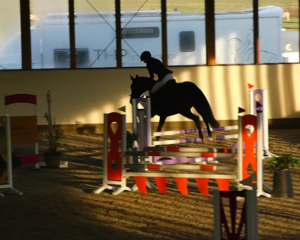 Reitturnier Fleesensee Classic´s 2023