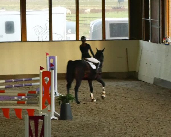 Reitturnier Fleesensee Classic´s 2023