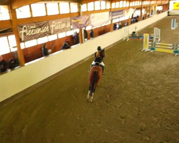 Reitturnier Fleesensee Classic´s 2023