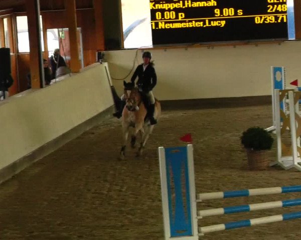 Reitturnier Fleesensee Classic´s 2023