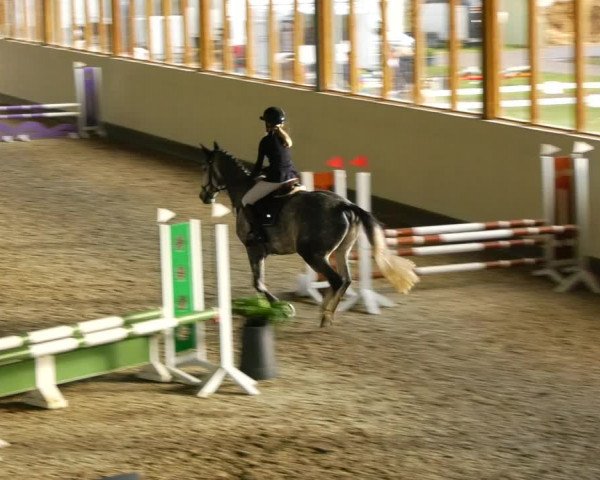 Reitturnier Fleesensee Classic´s 2023