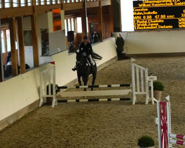Reitturnier Fleesensee Classic´s 2023