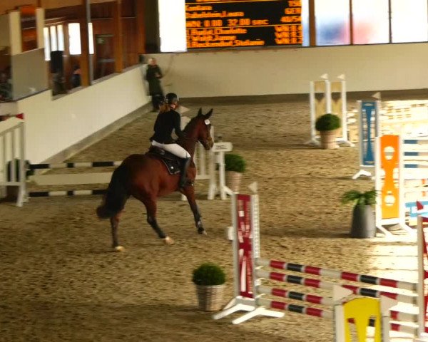 Reitturnier Fleesensee Classic´s 2023