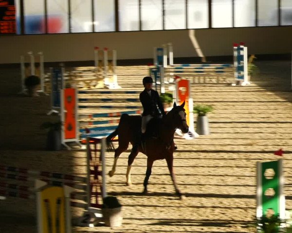 Reitturnier Fleesensee Classic´s 2023