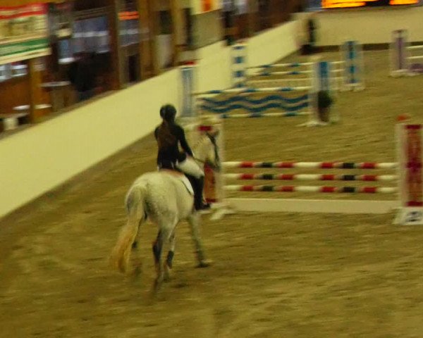 Reitturnier Fleesensee Classic´s 2023