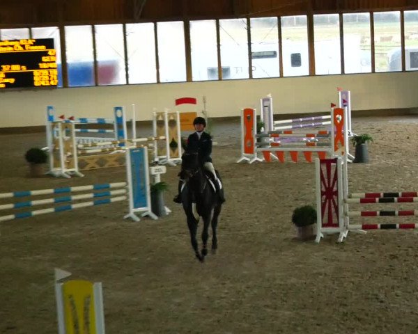 Reitturnier Fleesensee Classic´s 2023