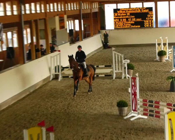 Reitturnier Fleesensee Classic´s 2023
