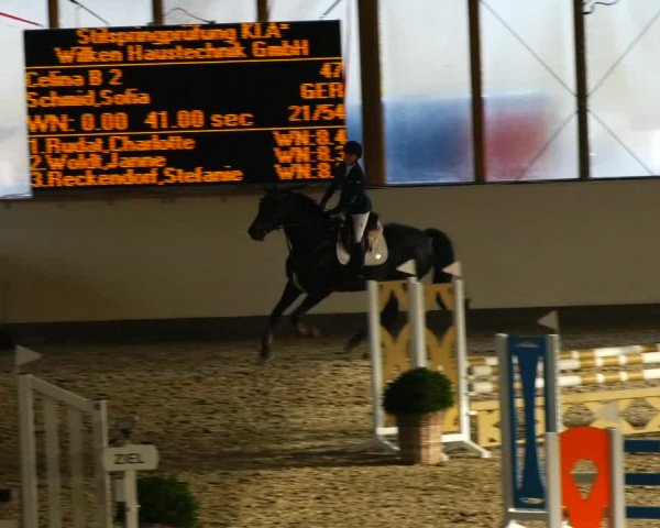 Reitturnier Fleesensee Classic´s 2023