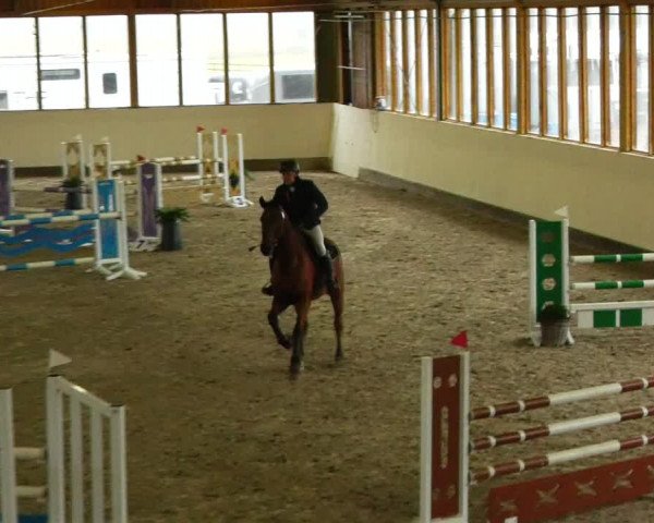 Reitturnier Fleesensee Classic´s 2023