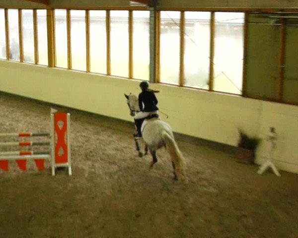 Reitturnier Fleesensee Classic´s 2023