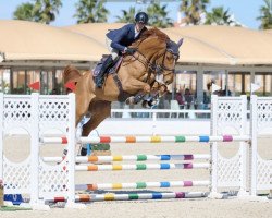 jumper Chef Da Wg CH (Swiss Warmblood, 2017, from Diamant de Semilly)