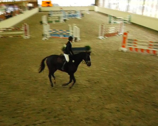 Reitturnier Fleesensee Classic´s 2023