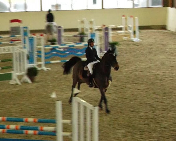 Reitturnier Fleesensee Classic´s 2023
