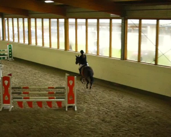 Reitturnier Fleesensee Classic´s 2023