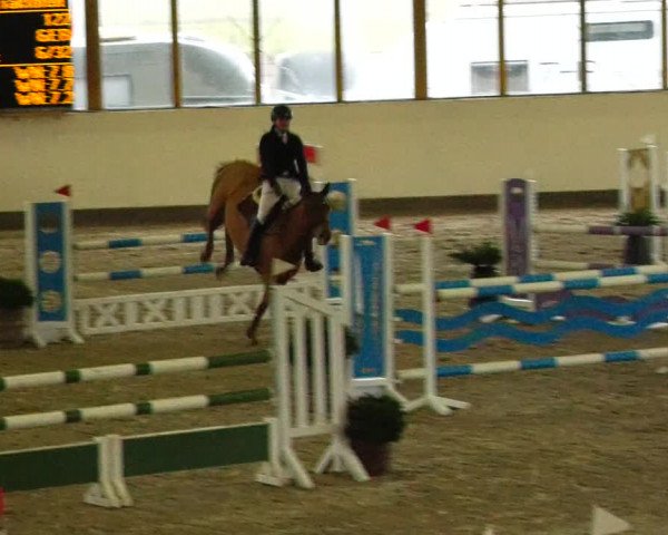 Reitturnier Fleesensee Classic´s 2023