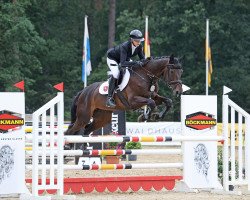 jumper Mirage van het Meerdaalhof (Belgian Warmblood, 2012, from Ixion van het Netehof)