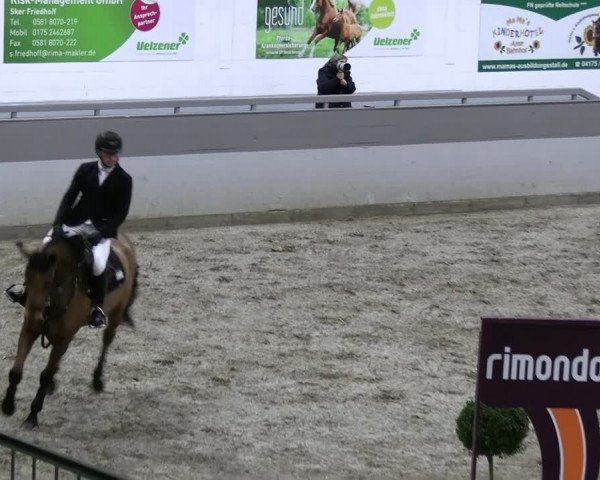 Reitturnier AZL Luhmühlen 2023