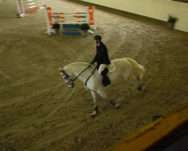 Reitturnier Fleesensee Classic´s 2023