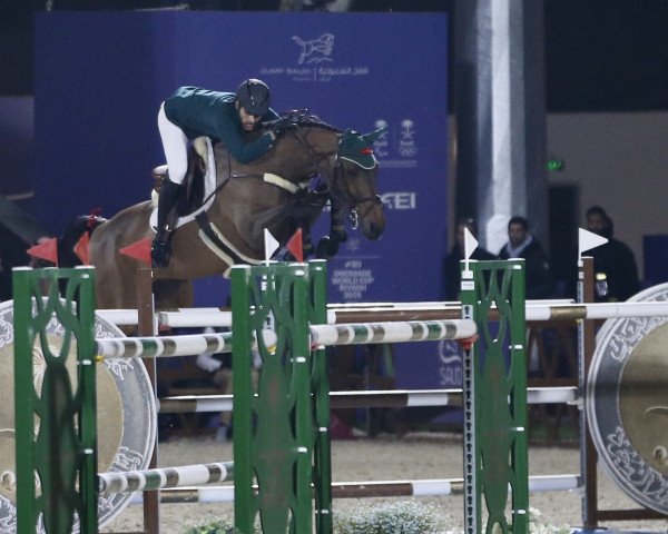 jumper Babalou (Westphalian, 2012, from Balous Bellini)